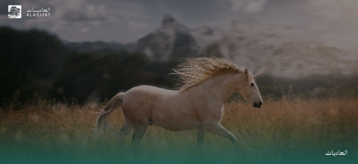 العرب والخيل.. تاريخ طويل وارتباط أزلي