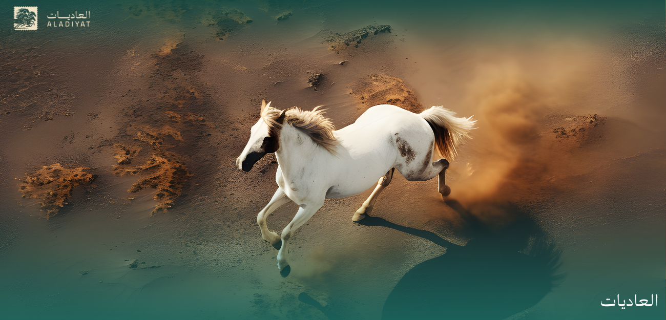 الخيل العربي .. ملكٌ وحضارة